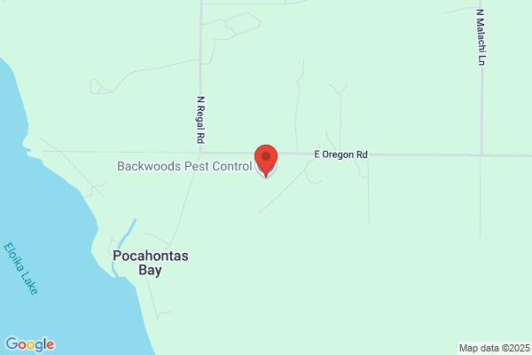 Backwoods Pest Control