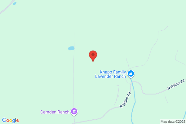 Camden Ranch Christmas Trees