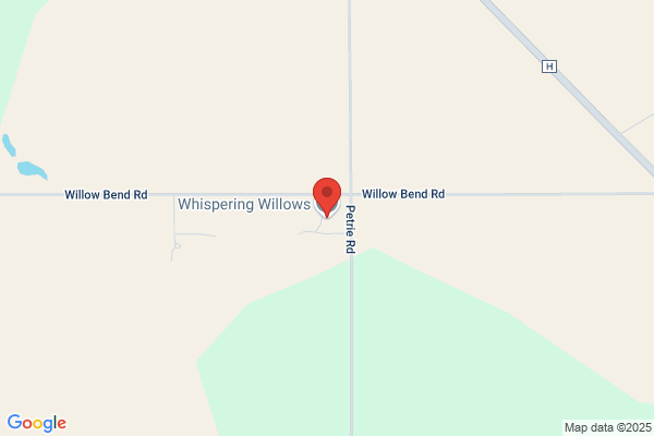 Whispering Willows