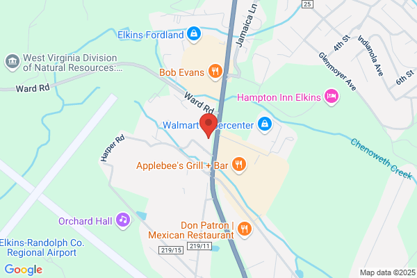 Advance Auto Parts