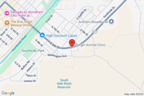Bergin Animal Clinic