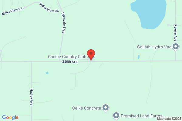 Canine Country Club