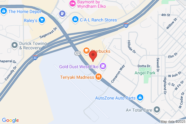 Checker Auto Parts