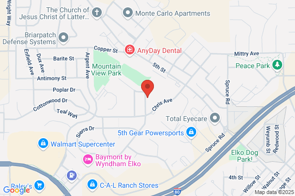 Ruby Mountain Painting Inc