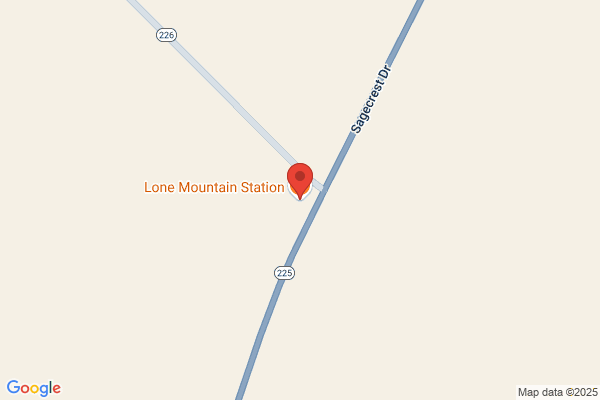 Lone Mountain Station