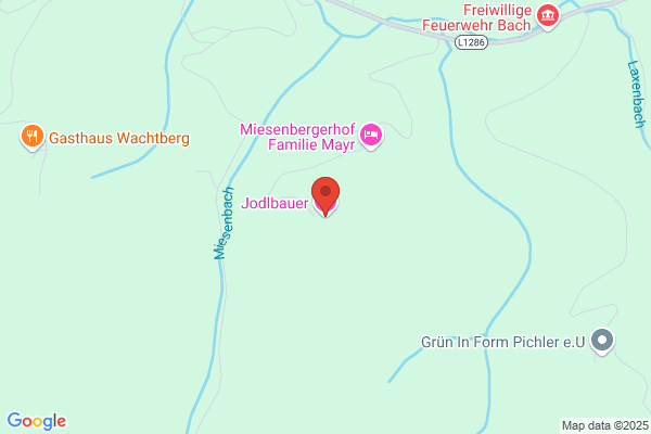 Jodlbauer's