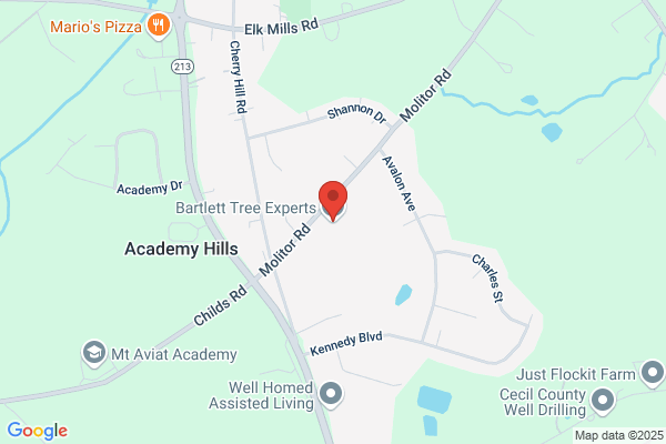 Bartlett Tree Experts