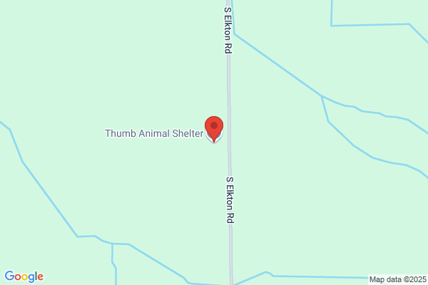 Thumb Animal Shelter