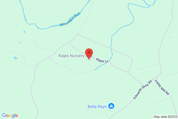 Kipps Nursery