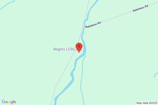 Begors LCSG, Inc