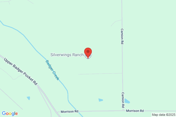 Silverwings Ranch