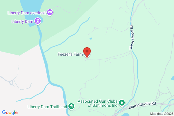 Robert L Feezer Co Inc