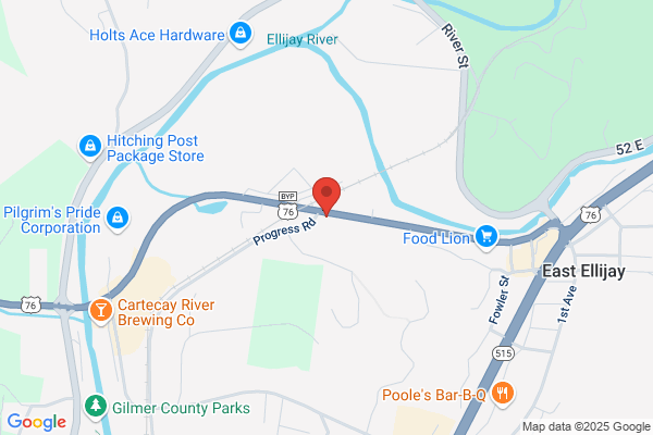 Ellijay Pawn Inc