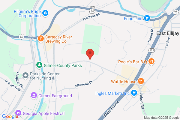 Ellijay Tire Company