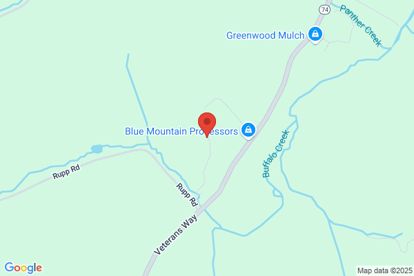 Blue Mountain Processors Llc