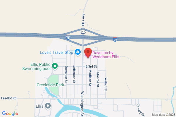 Ellis Review