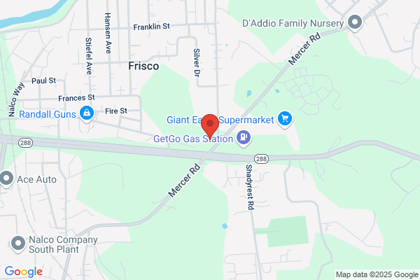 Advance Auto Parts