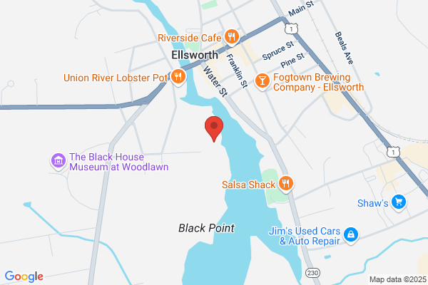 Downey Stephen E Land Surveying