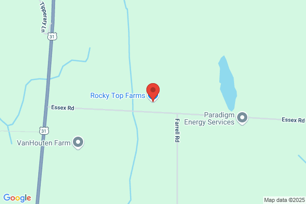 Rocky Top Farm