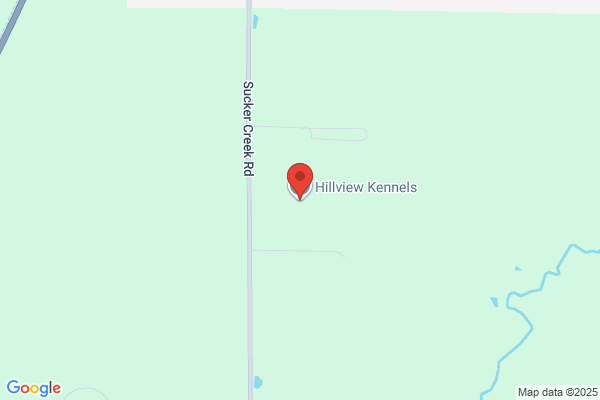 Highview Kennels