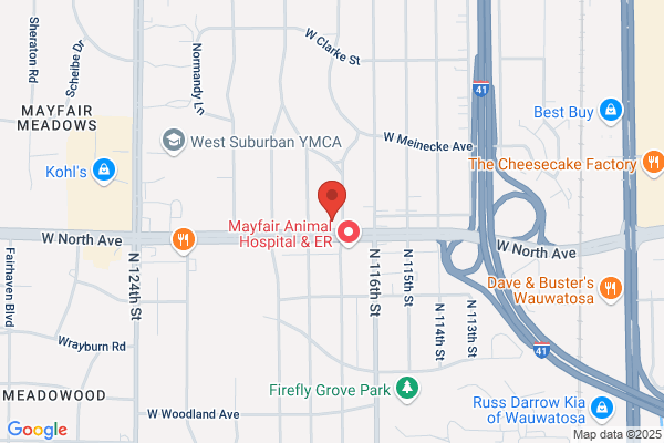 Wisconsin Orthopedic Physical Therapy