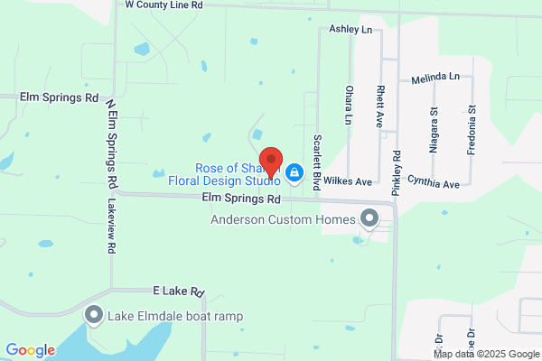 Elm Springs Electric