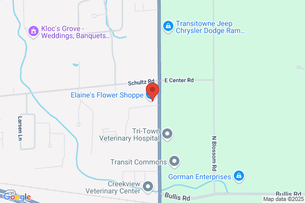Max Pies Floor Coverings
