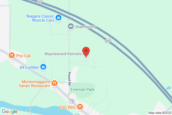 Waynewood Kennels