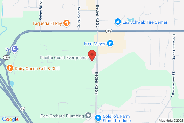 Pacific Coast Evergreen