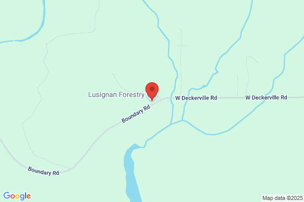 Sap Forestry Inc