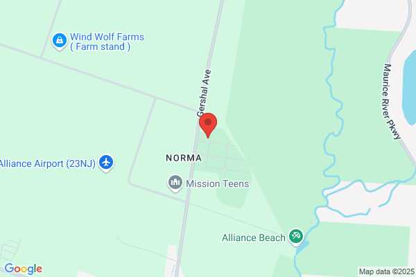 Alliance Cemetery Association