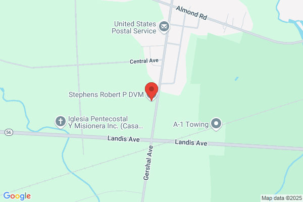 Stephens Robert P Vmd