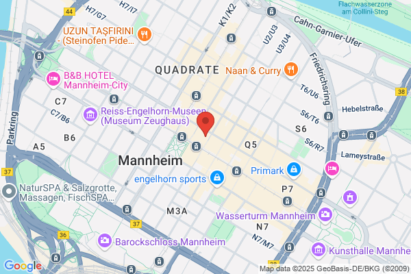Mannheim Body Inc