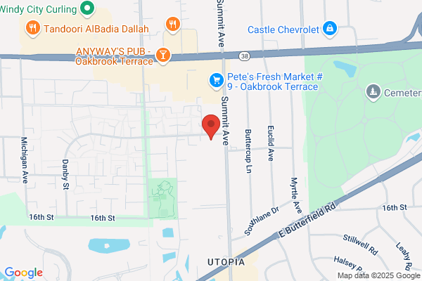 Dreyfus Medical Services Inc