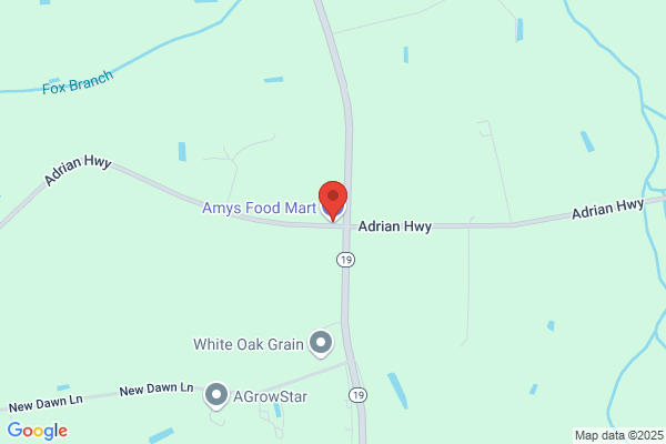 Amy Food Mart Inc