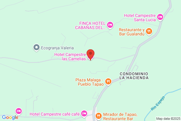 Las Camelias