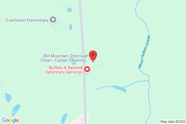 Beach Lake Mat Service