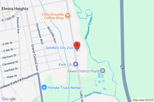Tropical Fish Outlet