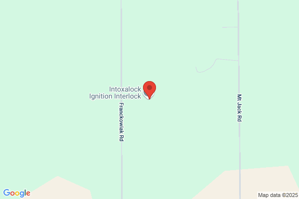 LifeSafer Ignition Interlock