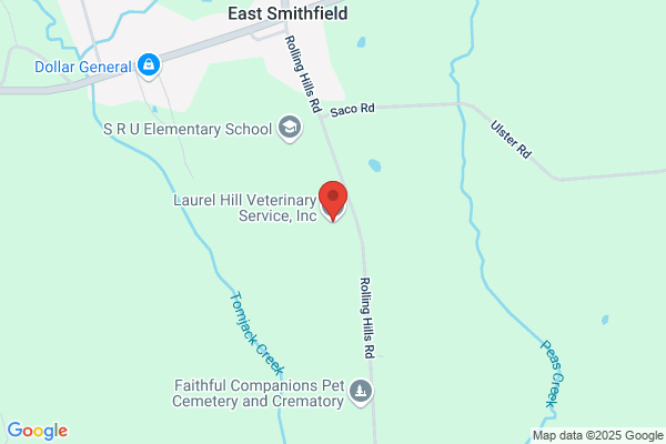Draut Hill Veterinary Services