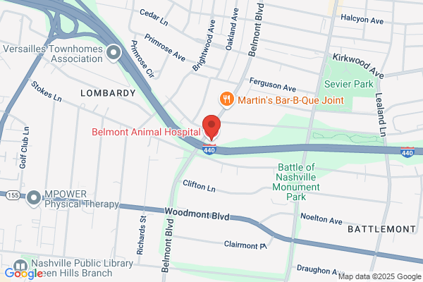Belmont Veterinary Group PC