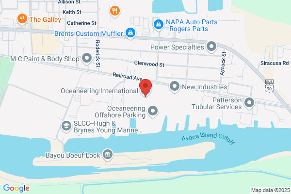 Albion International Inc