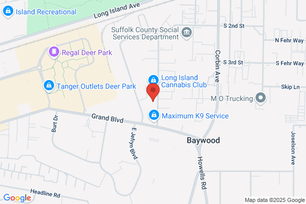 All Island Home Care Inc