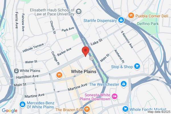 Nyc Advisors Llc