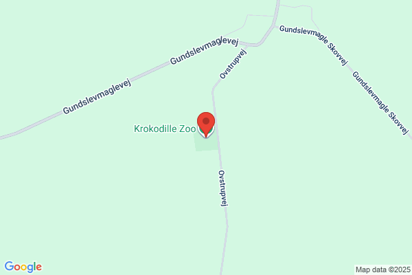 Krokodile
