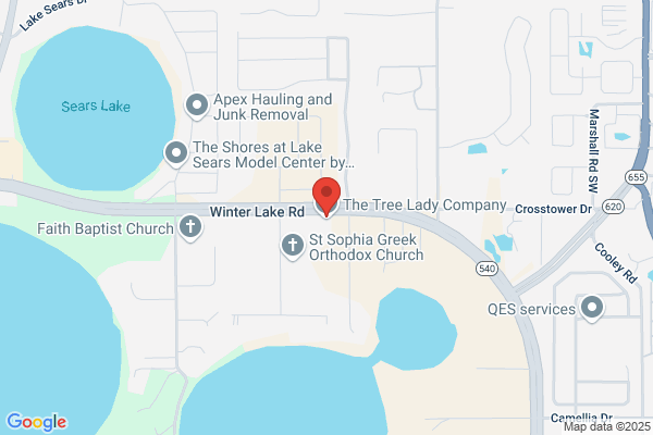 The Tree Lady Company