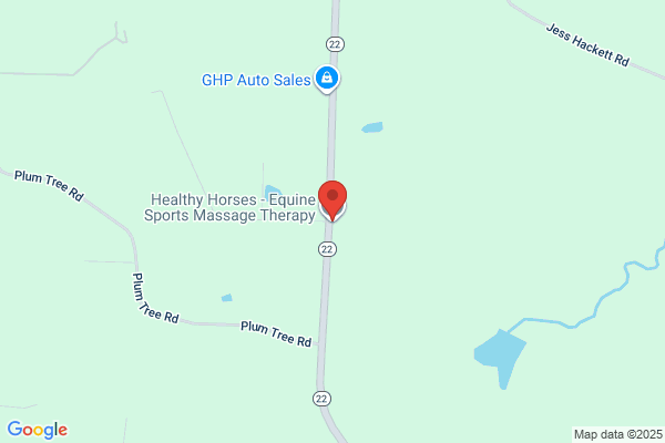Triad Equine Massage Therapy