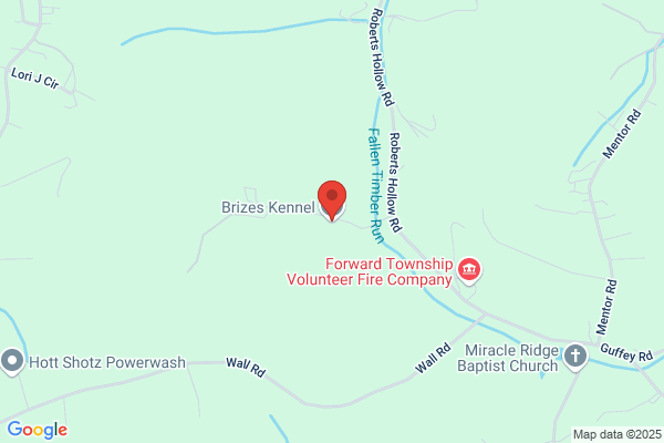 Brizes Kennel