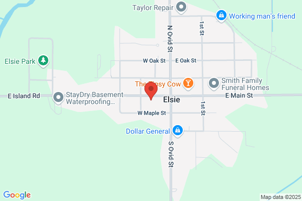 Elsie Public Library