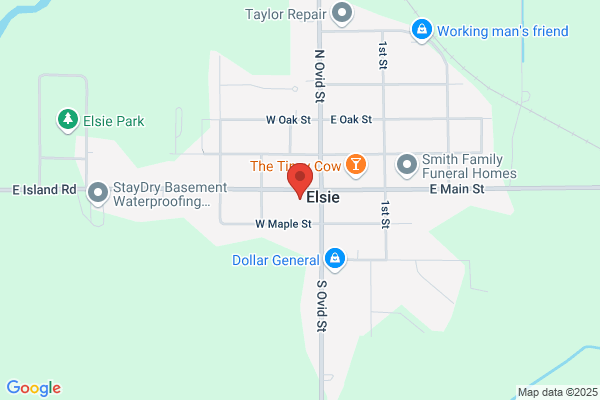 Elsie Village of, Hall